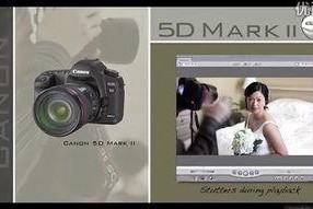 91pro国产,引领科技潮流的创新力量